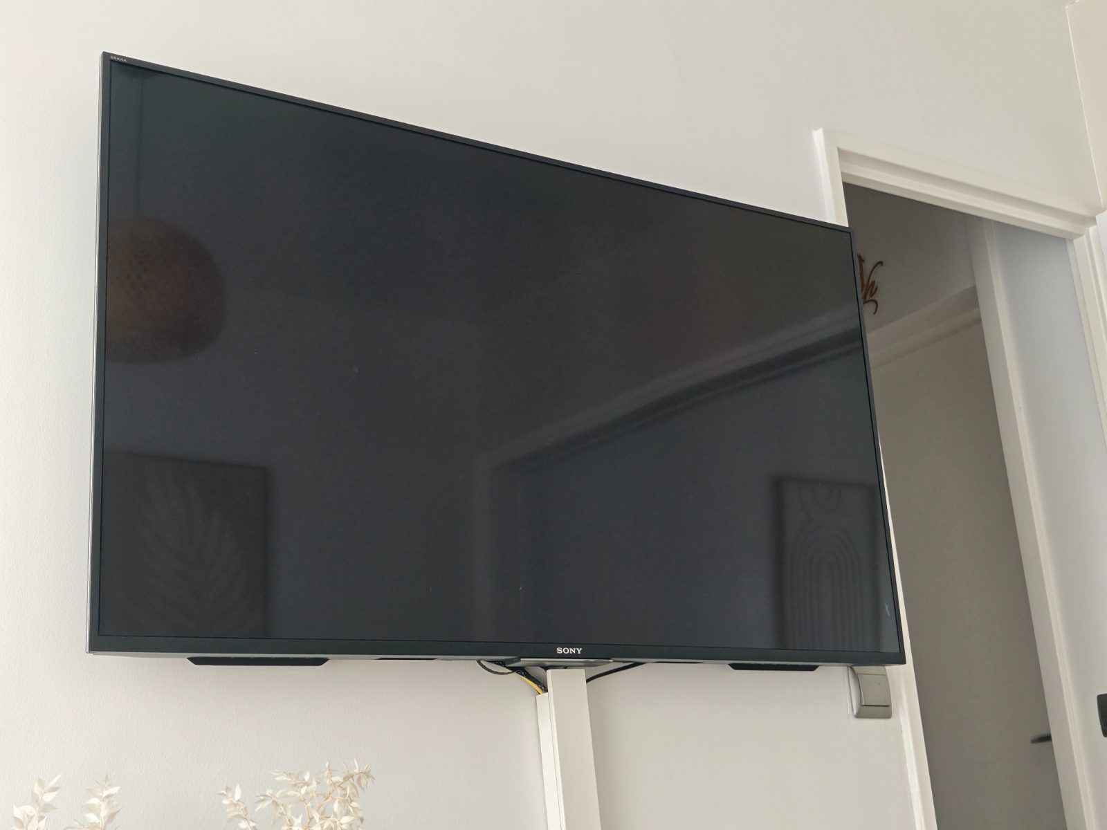 TV sony 55 pouces 